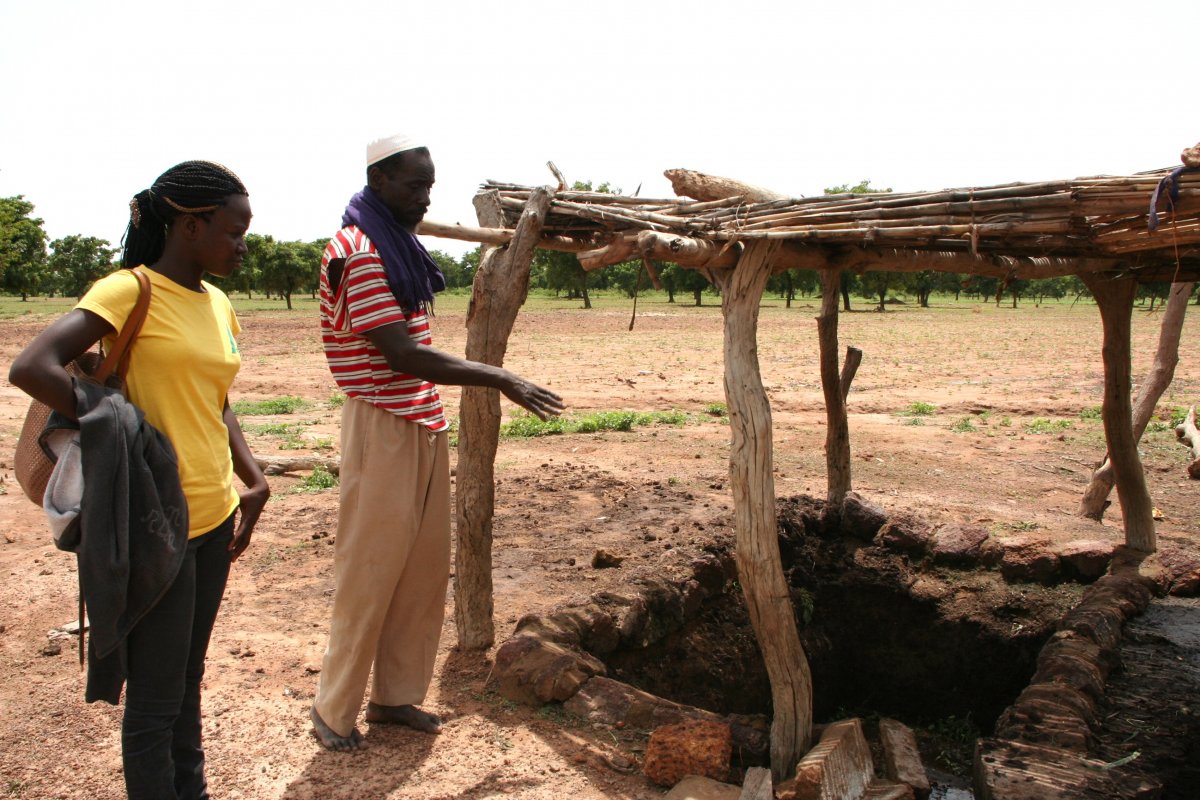 Au Burkina Faso, la bouse de vache change la vie des paysans